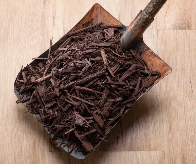 Jeffries Forever Brown Mulch