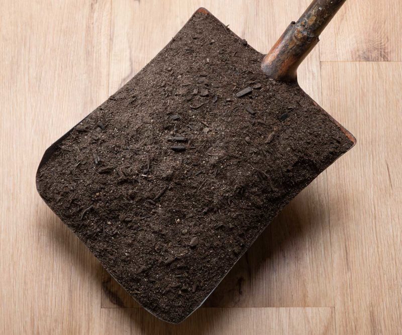 Jeffries Special Soil