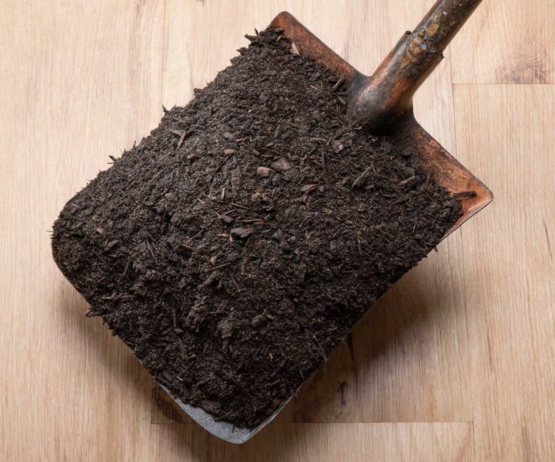 Jeffries Veggie & Garden Soil